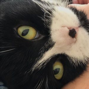 Meet your Posher, Summer